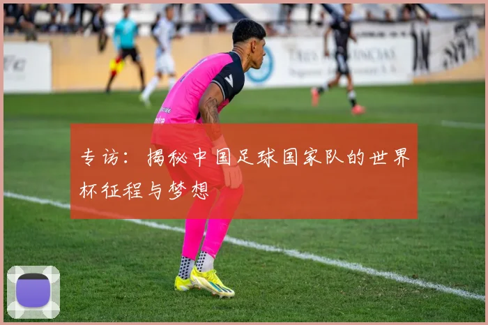 专访：揭秘中国足球国家队的世界杯征程与梦想