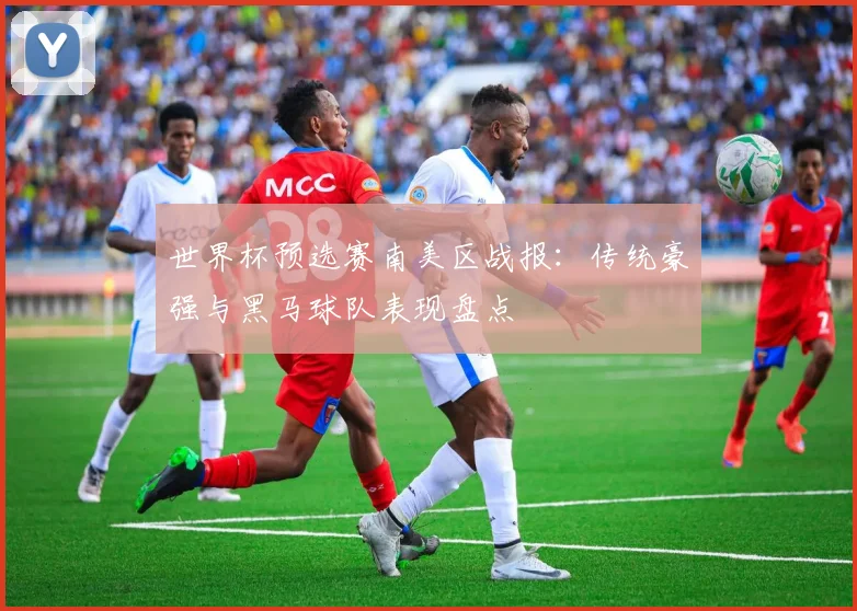 世界杯预选赛南美区战报：传统豪强与黑马球队表现盘点