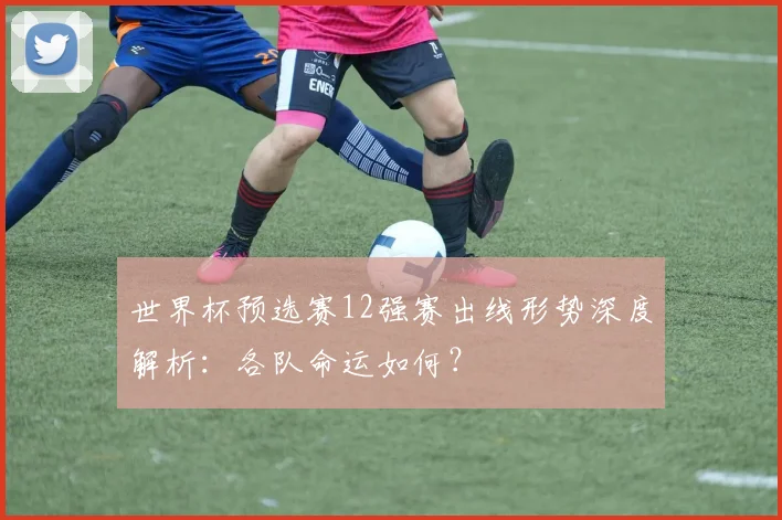 世界杯预选赛12强赛出线形势深度解析:各队命运如何?