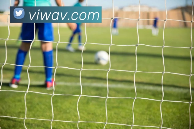 开云官方在线登陆入口发展历程